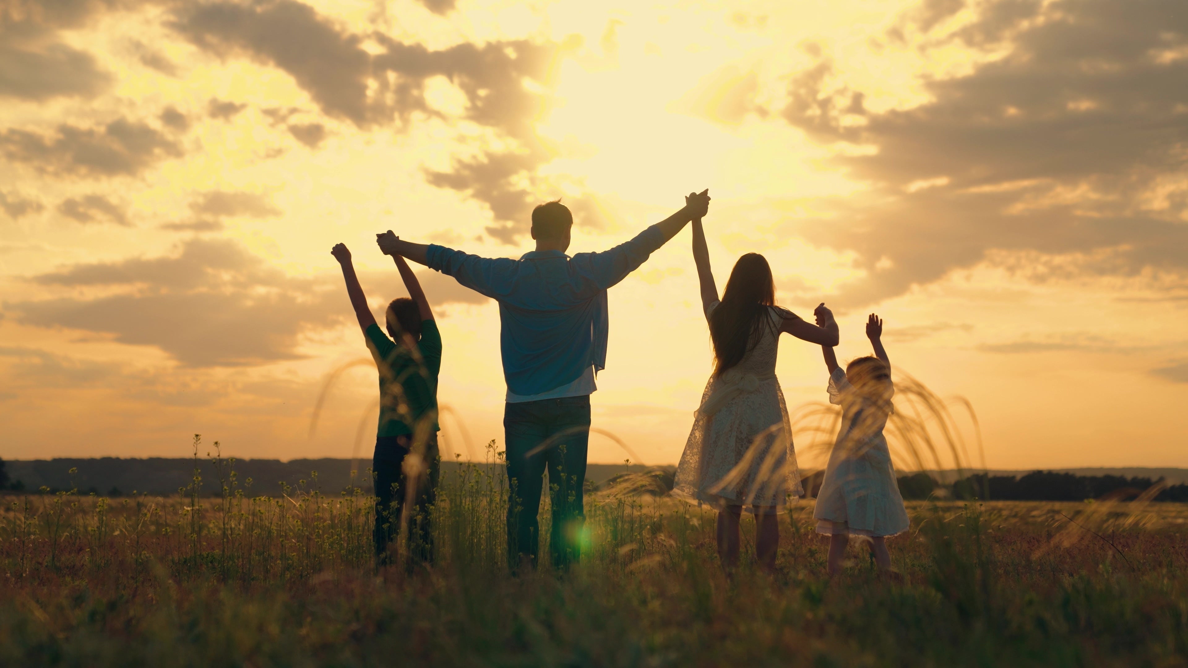 A family standing hand-in-hand in a peaceful field at sunset, symbolizing security, unity, and peace of mind from having important documents and information organized.