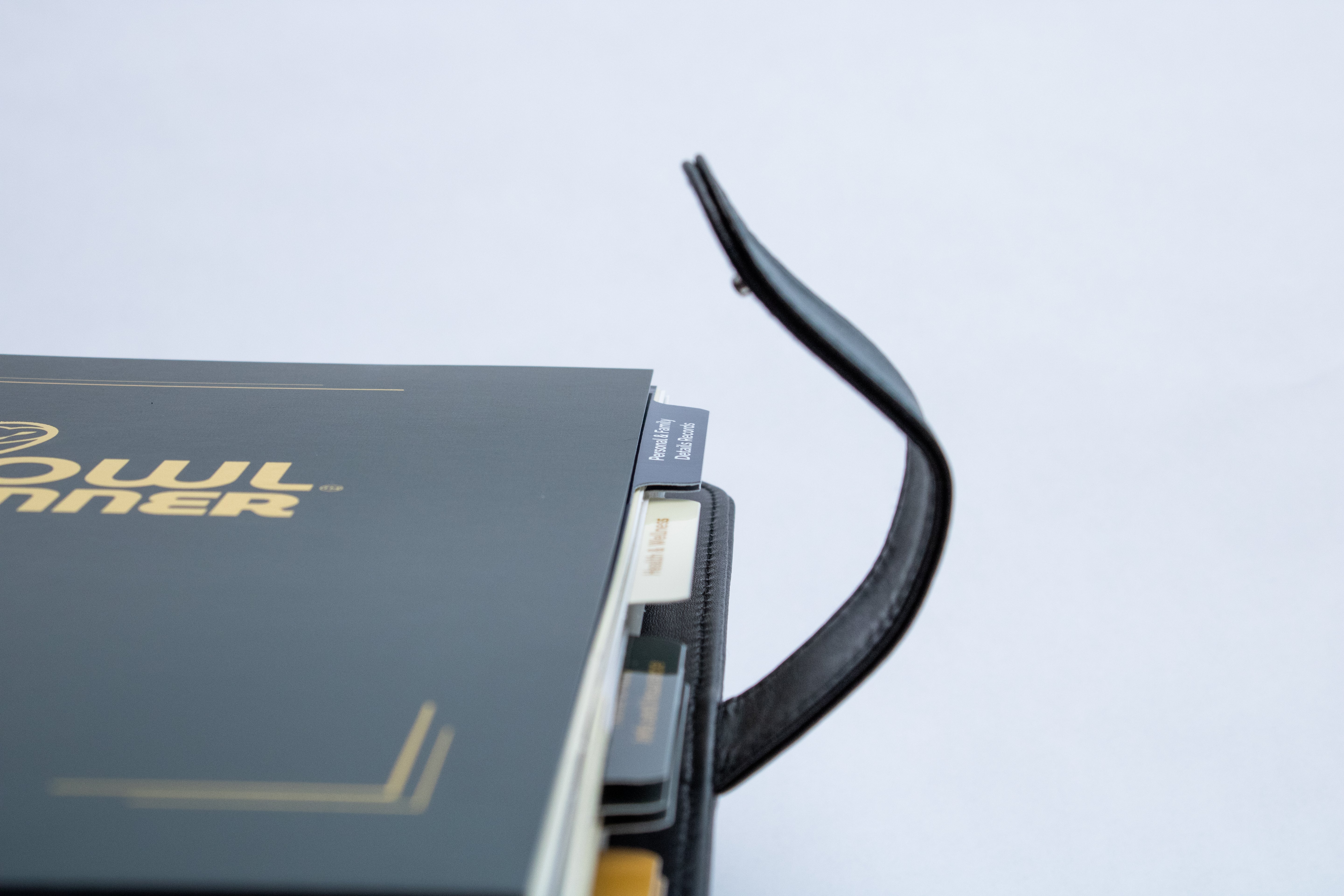 OWL Planner™ Pro (2-Pack)