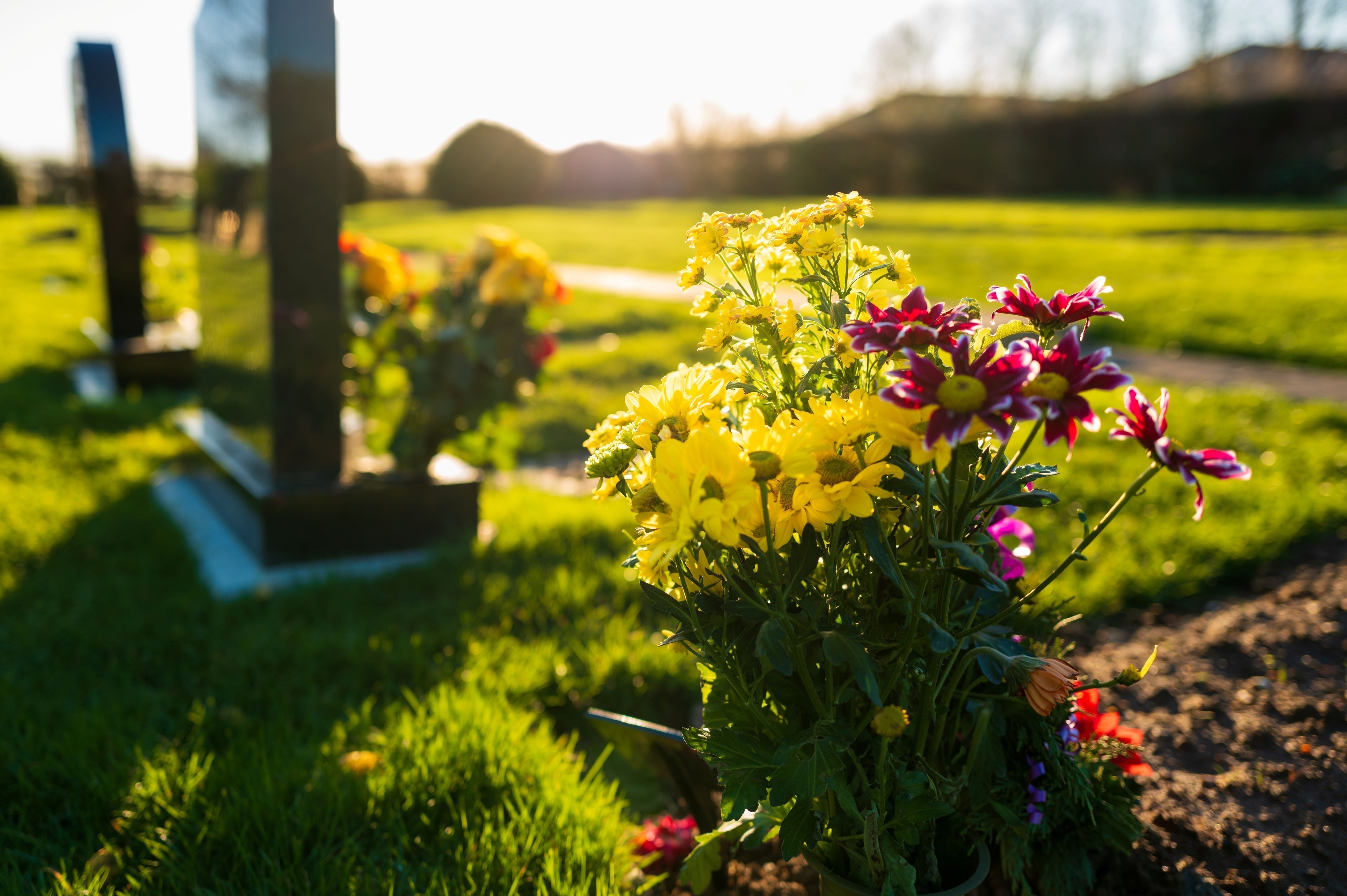 Gravesite with fresh flowers in a sunlit cemetery, symbolizing end-of-life planning and the importance of organizing family documents with tools like an estate planning binder or next of kin planner.
